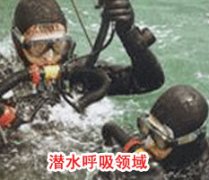 成功香蕉视频污版在线观看